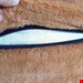 بین بگ وارداتی تکنفره بزرگ 