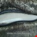بین بگ تکنفره خز پوست بزرگ