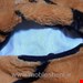 بین بگ ببری تکنفره بزرگ