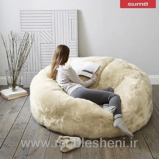  بین بگ چیست؟؟؟